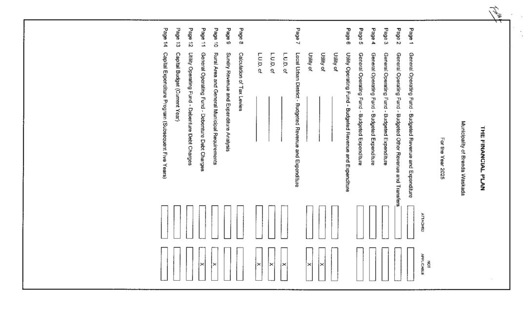 2025 Financial Plan (2)