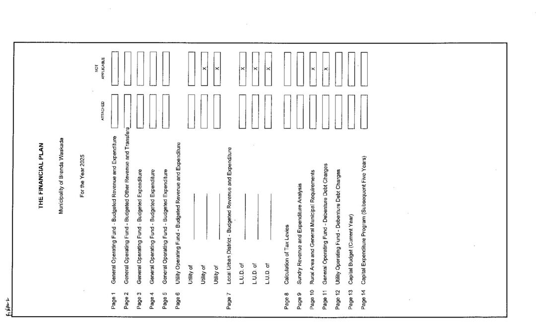 2025 Financial Plan (3)
