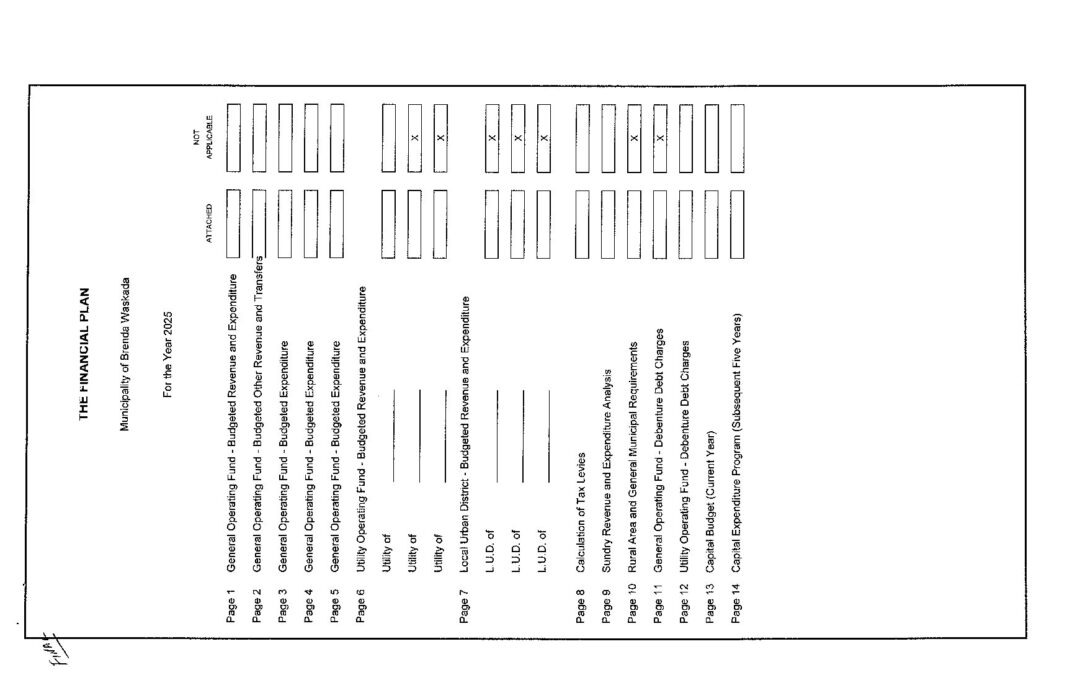 Financial Plan for 2025